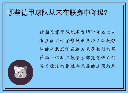 哪些德甲球队从未在联赛中降级？